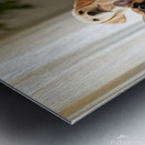 Shih Tzu Puppy Spots Delicious Treats Above Metal print