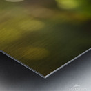 Proud Puppy Successfully Stands After Sploot Adventure Metal print