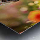 Shih Tzu Puppy Sits Proudly Wearing Flower Crown Metal print