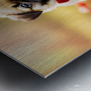 Pug Puppy Gets Ready For Special Day Metal print