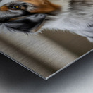 Australian Shepherd Puppy Discovers The Garden Bed Metal print