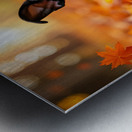 Boston Terrier Puppy Discovers Autumn Leaf Pile Metal print