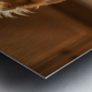 Excited Pomeranian Puppy Celebrates Full Food Bowl Metal print