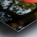 Exhausted BulldogPuppy Rests By Giant Ball Metal print