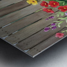 Dachshund Puppy Discovers Giant Red Ball Metal print