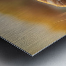 Bulldog Puppy Naps In Sandy Bed Metal print