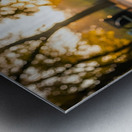 Dachshund Puppy Discovers Water Fountain Metal print