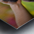 Border Collie Puppy Feeling Sleepy After Ear Scratches Metal print