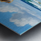 Yorkshire Terrier Puppy Discovers The Beach Metal print