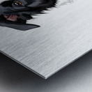 Happy Border Collie Puppy Enjoys Well Deserved Reward Metal print