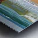 Tired Yorkshire Terrier Puppy Rests On Beach Metal print