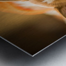 Sleepy Corgi Puppy Rests After Halloween Costume Adventure Metal print