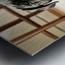 Cane Corso Puppy Stretches After Peaceful Nap Metal print