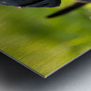 Little Cane Corso Puppy Ready To Learn New Trick Metal print