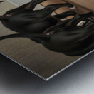 Satisfied Cane Corso Puppy After Drinking Water Metal print