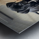 Cane Corso Puppy Waits His Turn At Water Bowl Metal print