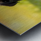 Cane Corso Puppy Discovers Sweet Ice Cream Treat Metal print