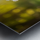 Proud Bichon Puppy Celebrates Successful Stay Training Metal print