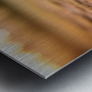 Muddy Chihuahua Puppy After Playtime Metal print