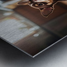 Chihuahua Puppy Discovers Birthday Cake Metal print