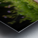 Chihuahua Puppy Discovers Muddy Puddle Metal print