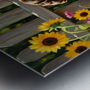 German Shorthaired Pointer Puppy Meets Garden Cat Metal print