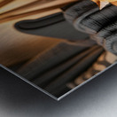 German Shorthaired Pointer Puppy Meets Sleepy Cat Metal print