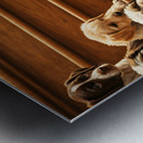 German Shorthaired Pointer Puppy Eyes The Big Challenge Metal print