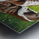 Tired German Shorthaired Pointer Puppy After Playing Metal print