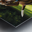 German Shorthaired Pointer Puppy Ready For Playtime Metal print