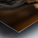 Rottweiler Puppy Spots The Water Bowl Metal print