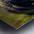 Sleepy Puppies Rest After Playing Hard Metal print