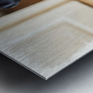 Eager Rottweiler Puppy Hopes For More Scratches Metal print