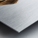 Beagle Puppy Confused After Bubbles Pop Away Metal print