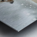 Poodle Puppy Discovers First Snowfall Through Window Metal print