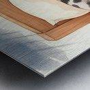 Sleepy Australian Shepherd Puppy Rests After Storm Metal print