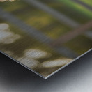 Australian Shepherd Puppy Discovers Big Chew Toy Metal print