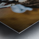 Husky Puppy Discovers Laundry Pile Metal print