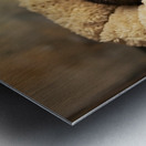 Sleepy Husky Puppy Napping In Corner Of Giant Bed Metal print