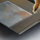 Golden Retriever Puppy Discovers Empty Food Bowl Metal print