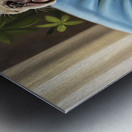 French Bulldog Puppy Sound Asleep Sitting Upright Metal print