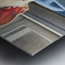 Sleepy French Bulldog Puppy Begins To Yawn Metal print