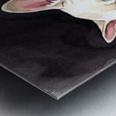 French Bulldog Puppy Sleeps Peacefully Through Night Metal print