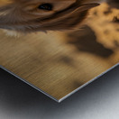 Happy Golden Retriever Puppy Sits In Ruins Of Destroyed Castle Metal print