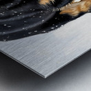 German Shepherd Puppy Discovers Fresh Snow Metal print