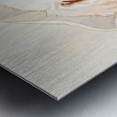 Brave Bichon Frise Puppy Escapes From Tissue Box Metal print