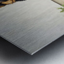 Sleepy German Shepherd Puppy In Car Metal print