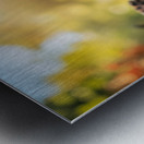 Corgi Puppy Spots Tennis Ball In Garden Metal print