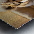 Peaceful Shih Tzu Puppy Sleeping Soundly Metal print