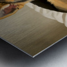 German Shepherd Puppy Snuggles With Cat Friend Metal print